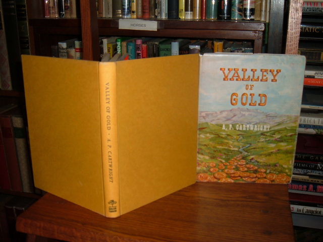 Image for Valley of Gold