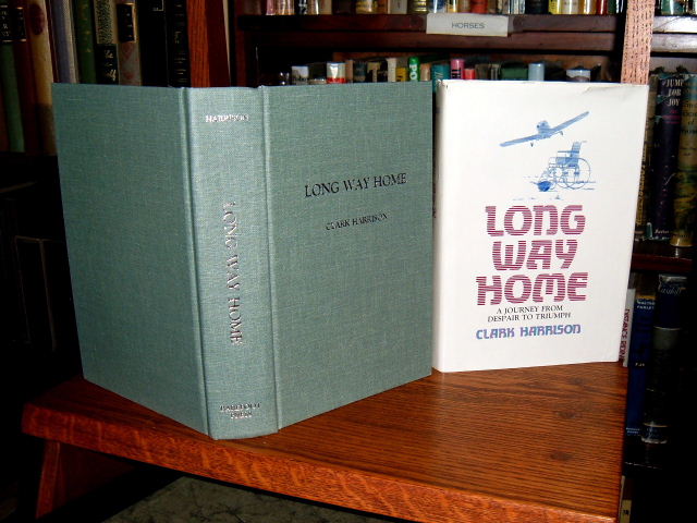 Image for Long Way Home: A Journey from Despair to Triumph