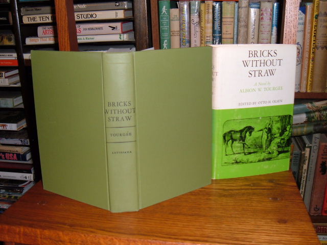 Image for Bricks Without Straw