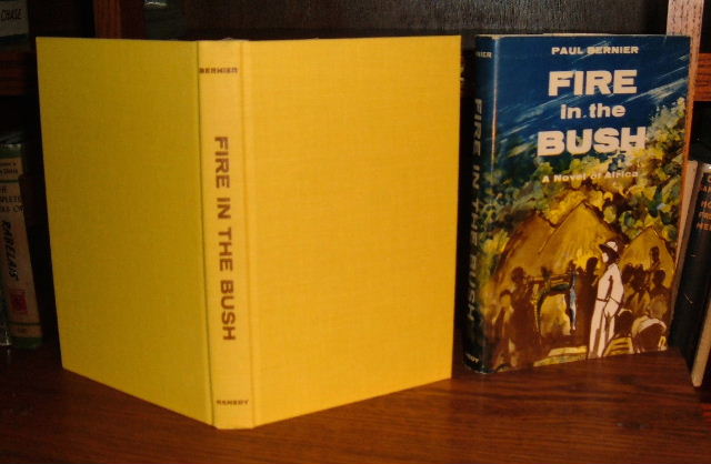 Image for Fire in the Bush: A Novel of Africa
