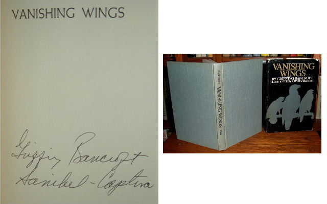 Image for Vanishing Wings