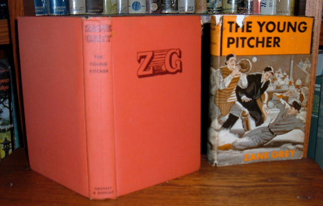 Image for The Young Pitcher