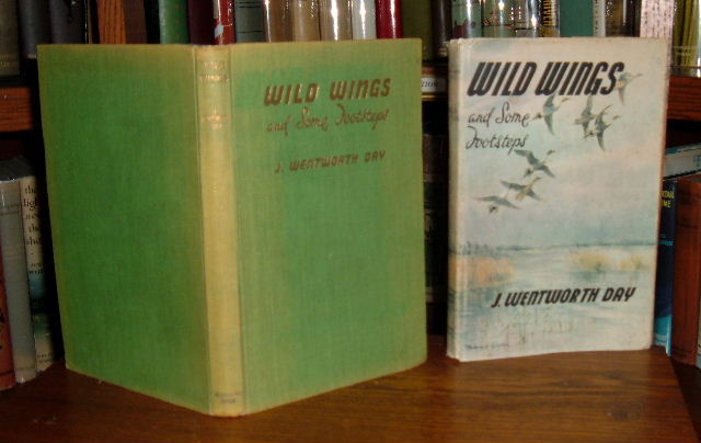 Image for Wild Wings and Some Footsteps