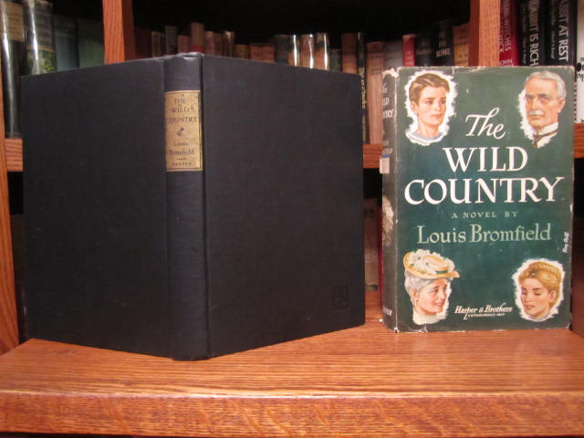 Image for The Wild Country