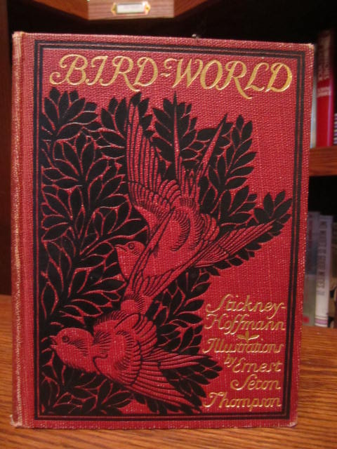 Image for Bird World - A Bird Book for Children