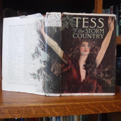 Image for Tess of the Storm Country