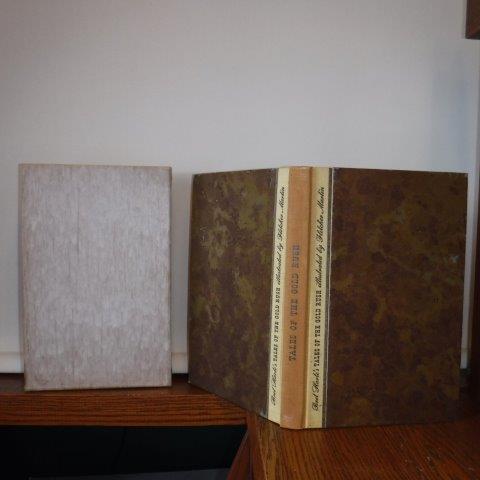 Image for Tales of the Gold Rush