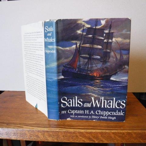 Image for Sails and Whales