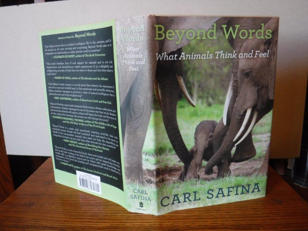 Image for Beyond Words: What Animals Think and Feel