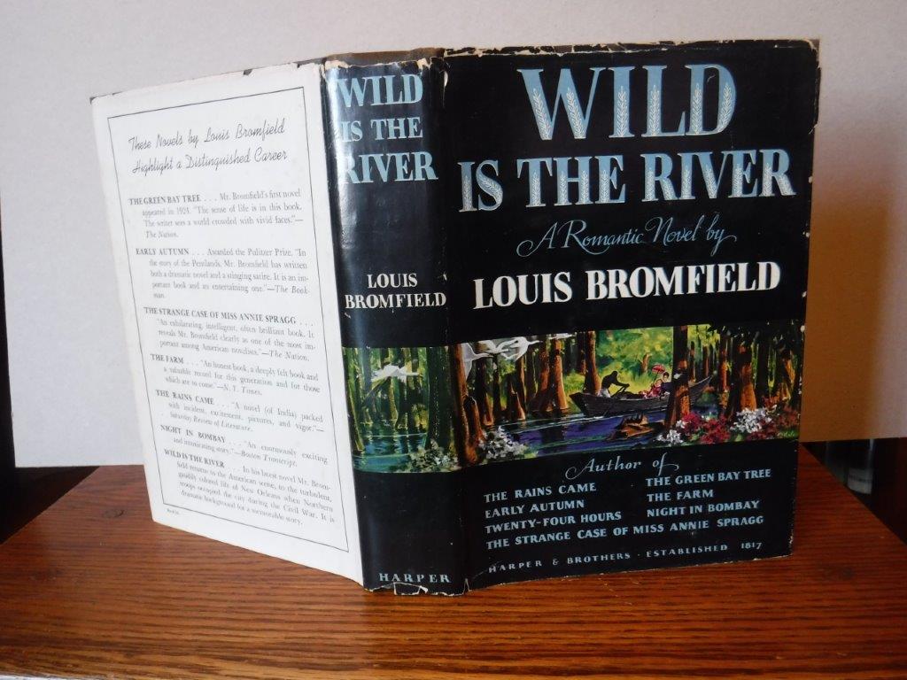 Image for Wild Is the River