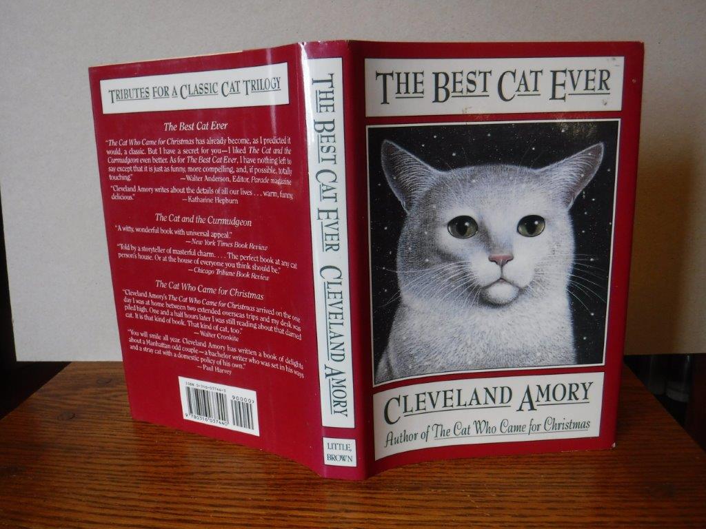 Image for The Best Cat Ever