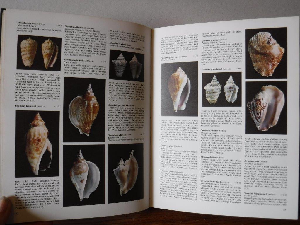 The Collector's Encyclopedia of Shells