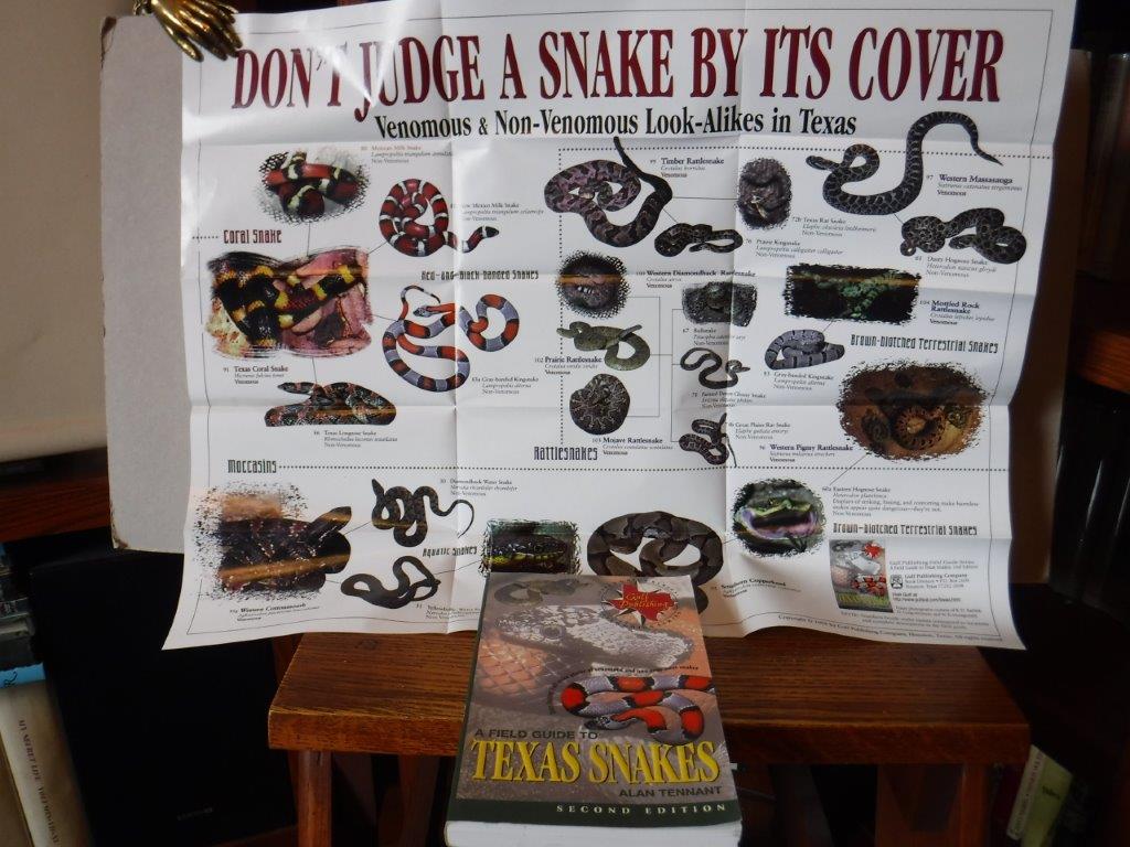 Image for A Field Guide to Texas Snakes (Texas Monthly Field Guides)