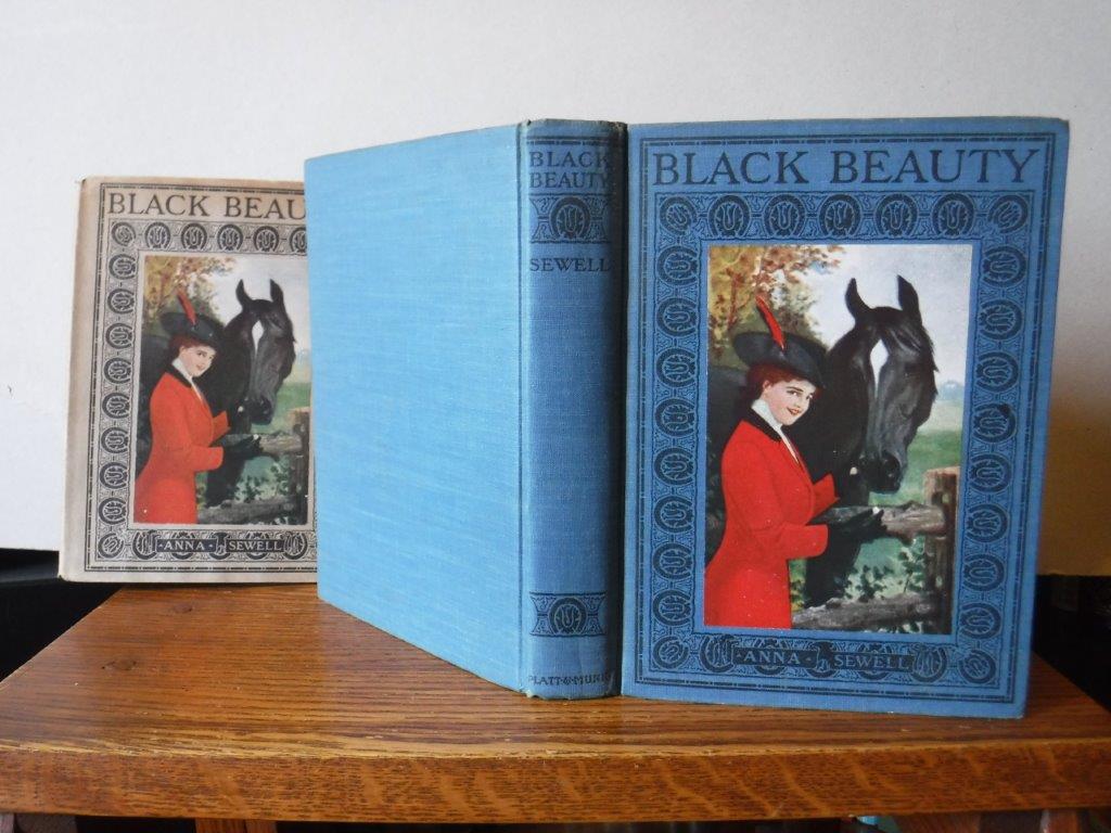 Image for Black Beauty - The Autobiography of a Horse
