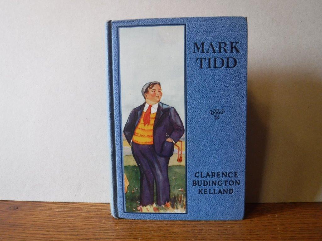 Image for Mark Tidd His Adventures and Strategies