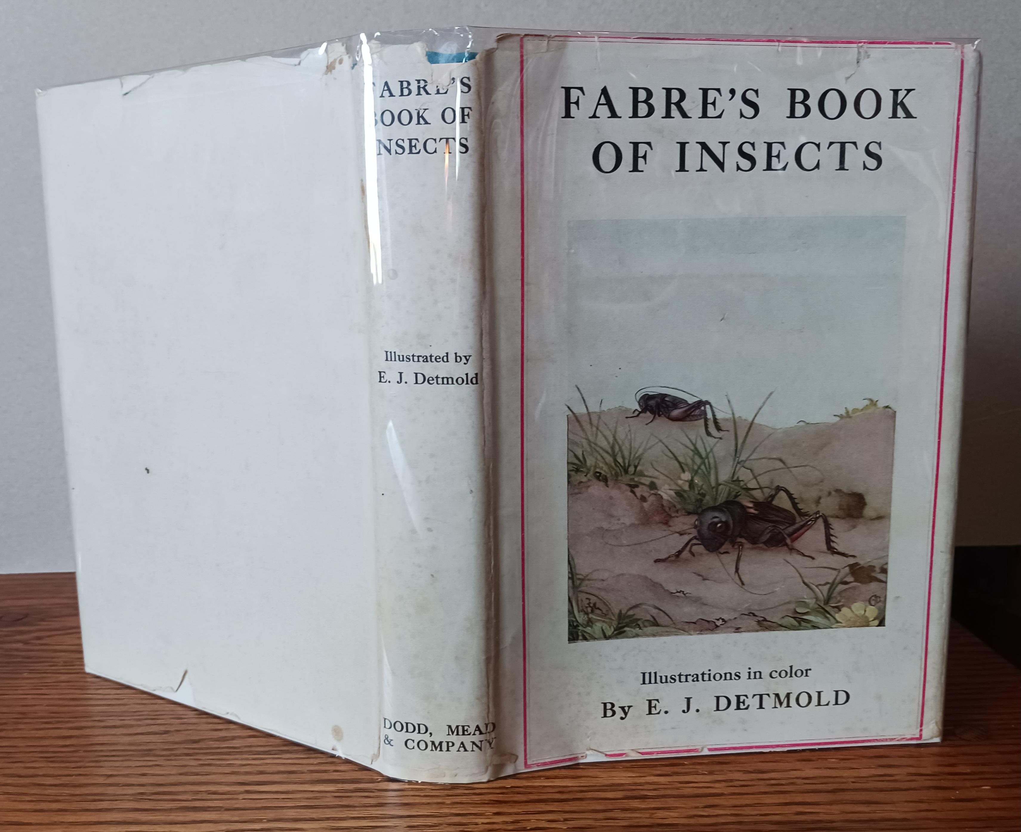 Alexander Insect Fabre's Book of Insects : Retold from Alexander Teixeira de Mattos ...