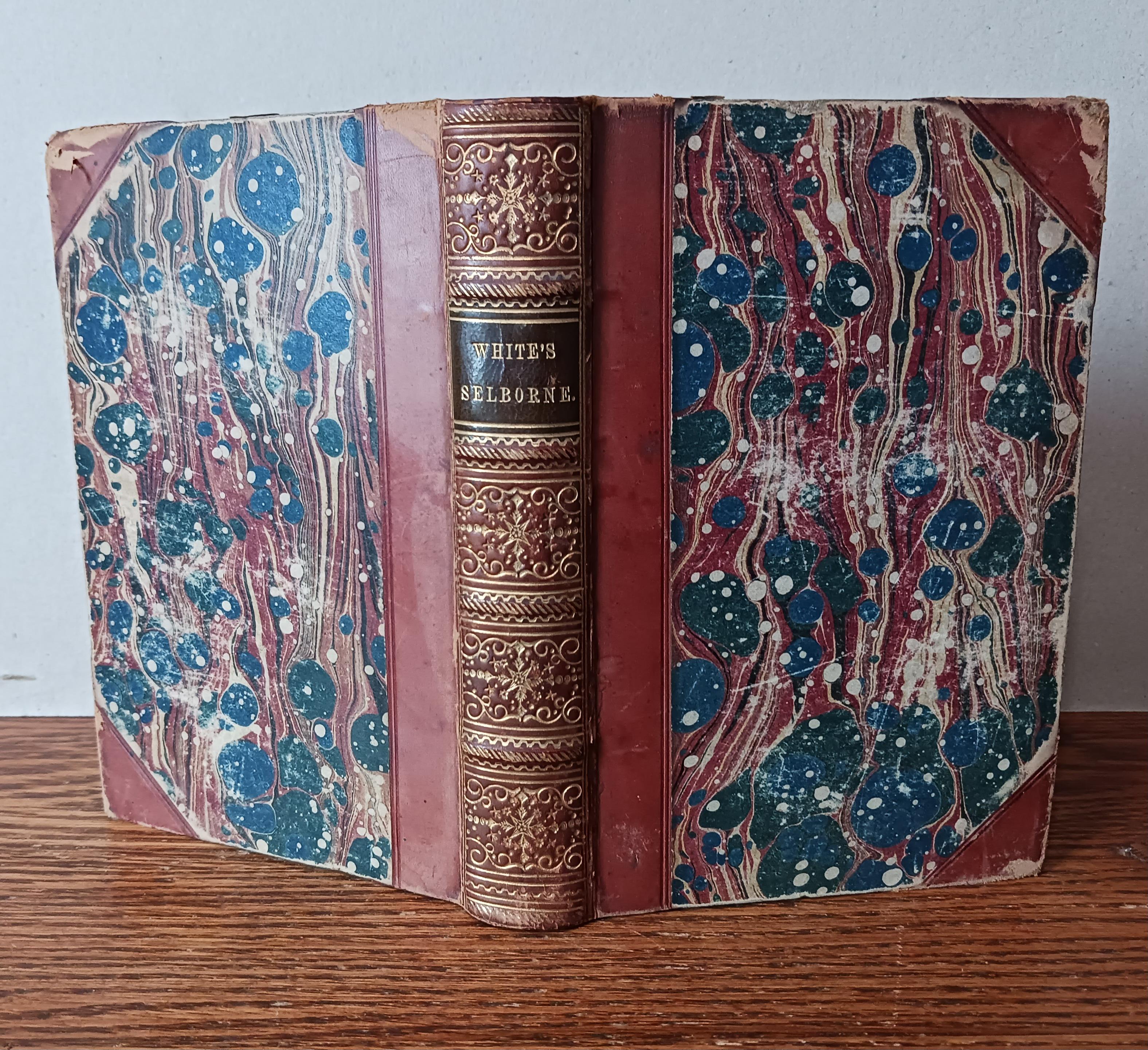 再入荷アイテム 035725_1.jpg 洋書