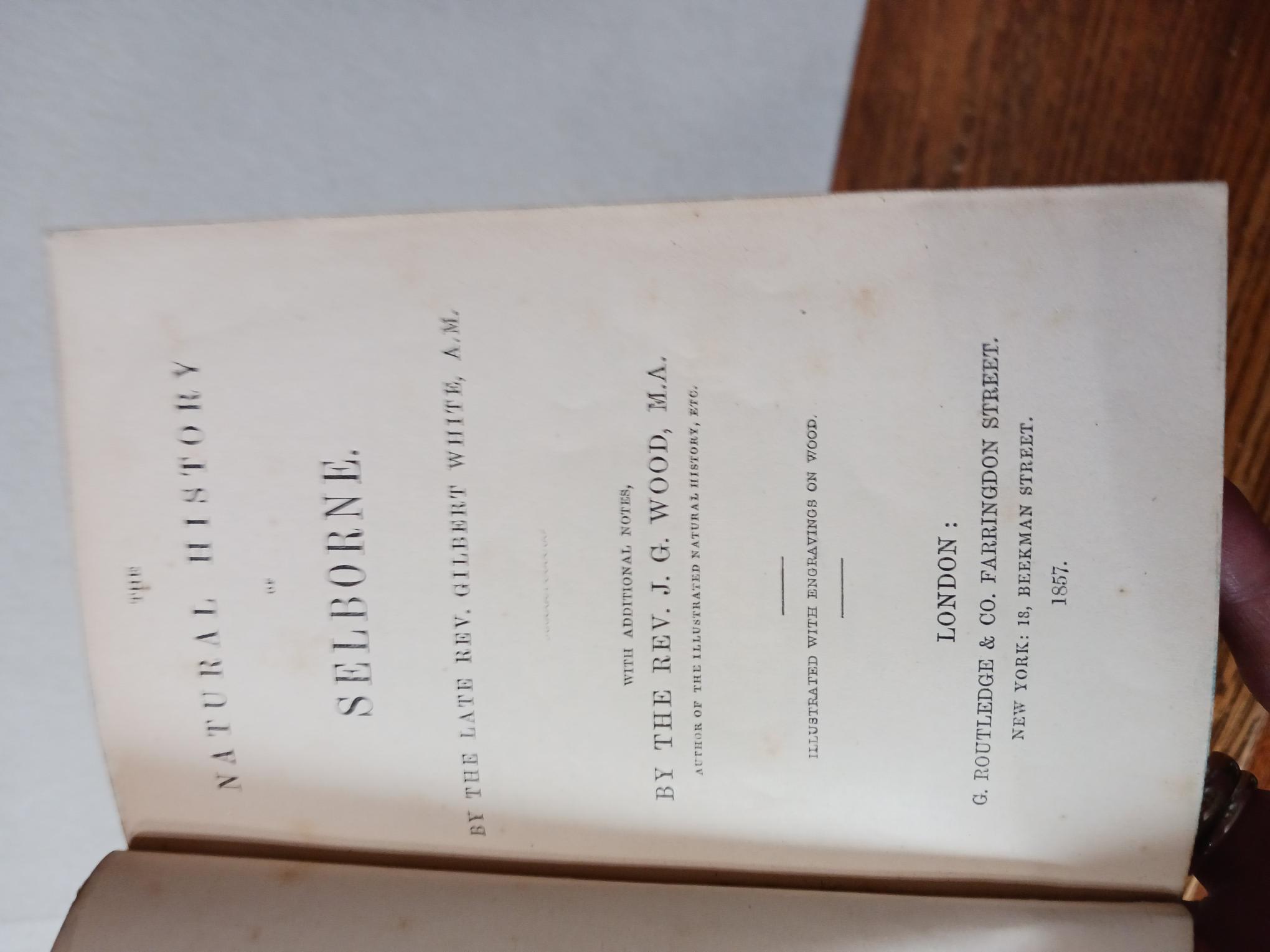 貴重 洋書小型 TheNATURAL HISTORYOF SELBORNE