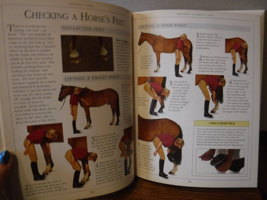 The Complete Horse Care Manual: The Essential Practical