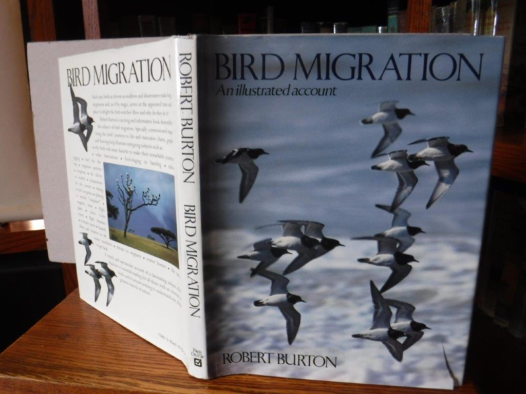 Image for Bird Migration - An Illustrated Account