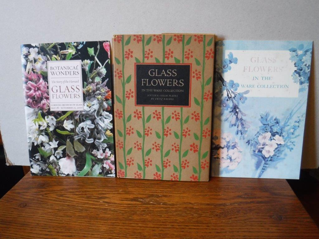 Glass Flowers from the Ware Collection in the Botanical Museum of