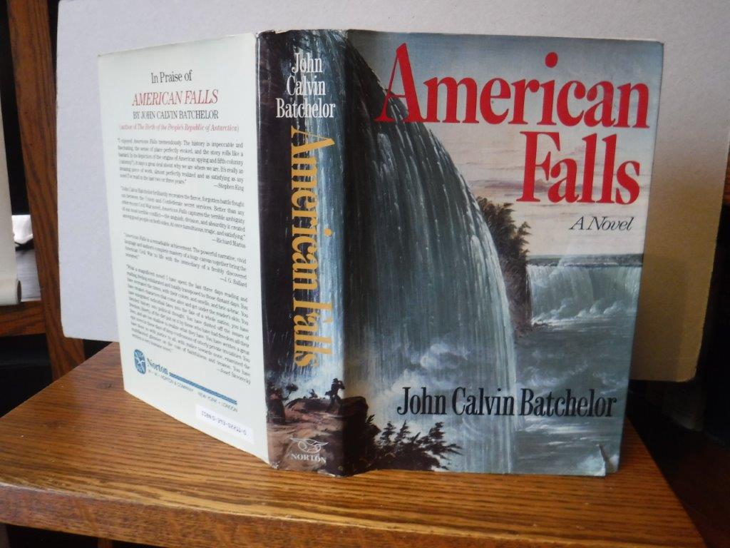 Image for American Falls: a Novel