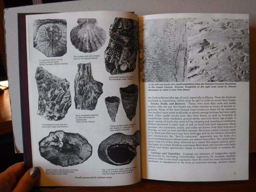 The Fossil Book A Record of Prehistoric Life