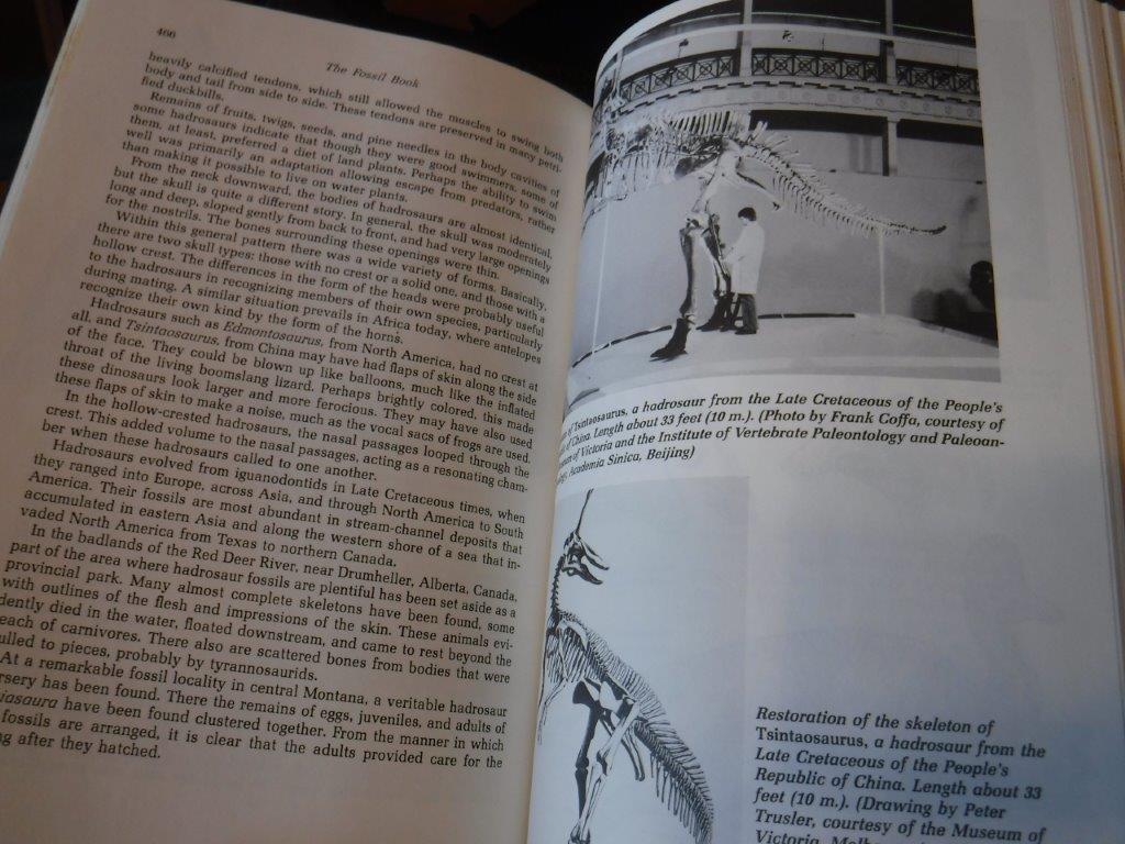 The Fossil Book A Record of Prehistoric Life