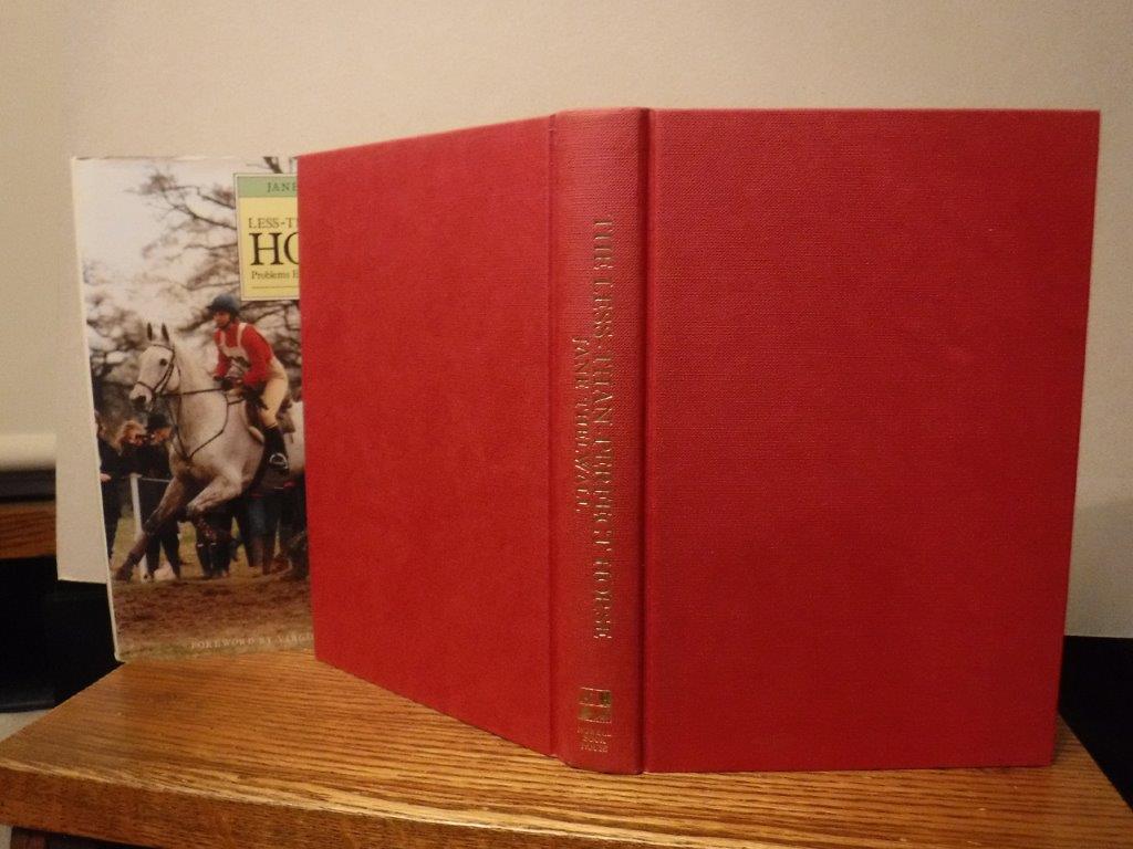 The LessThanPerfect Horse Problems Encountered and Solutions Explained