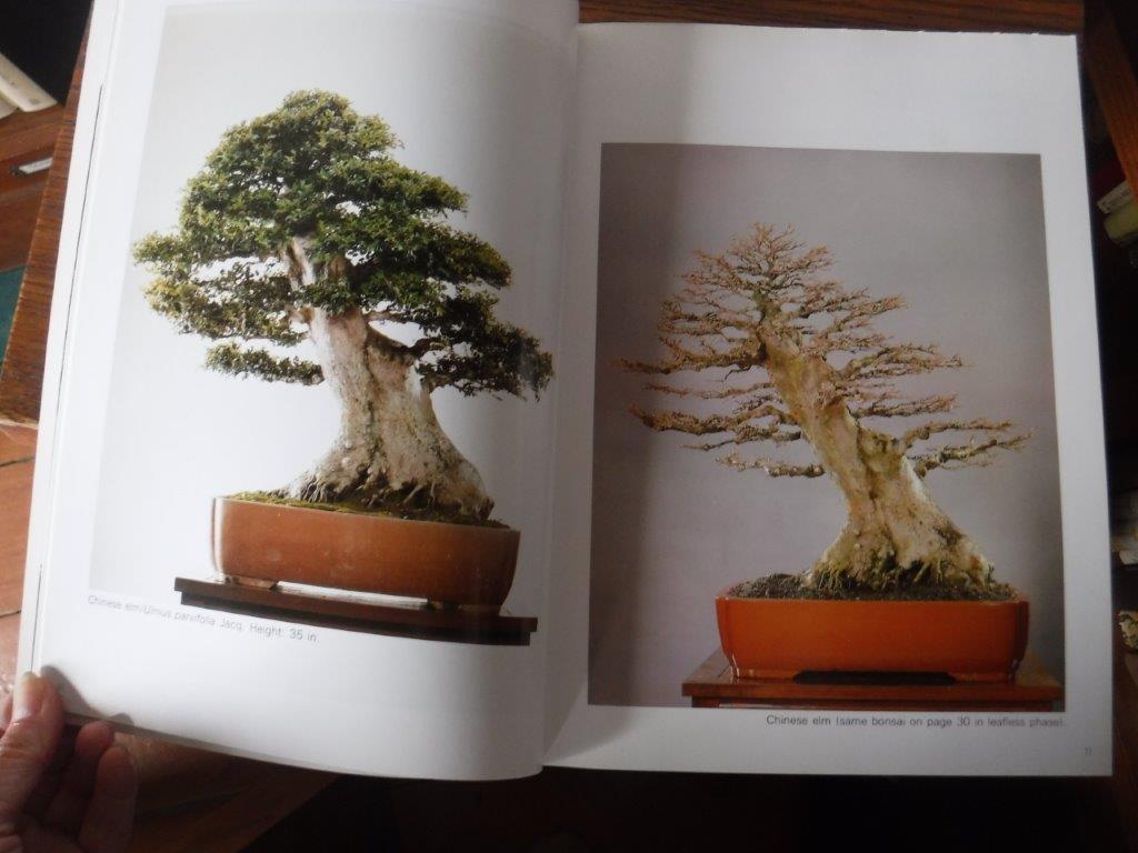 The Living Art Of Bonsai Principles & Techniques of Cultivation