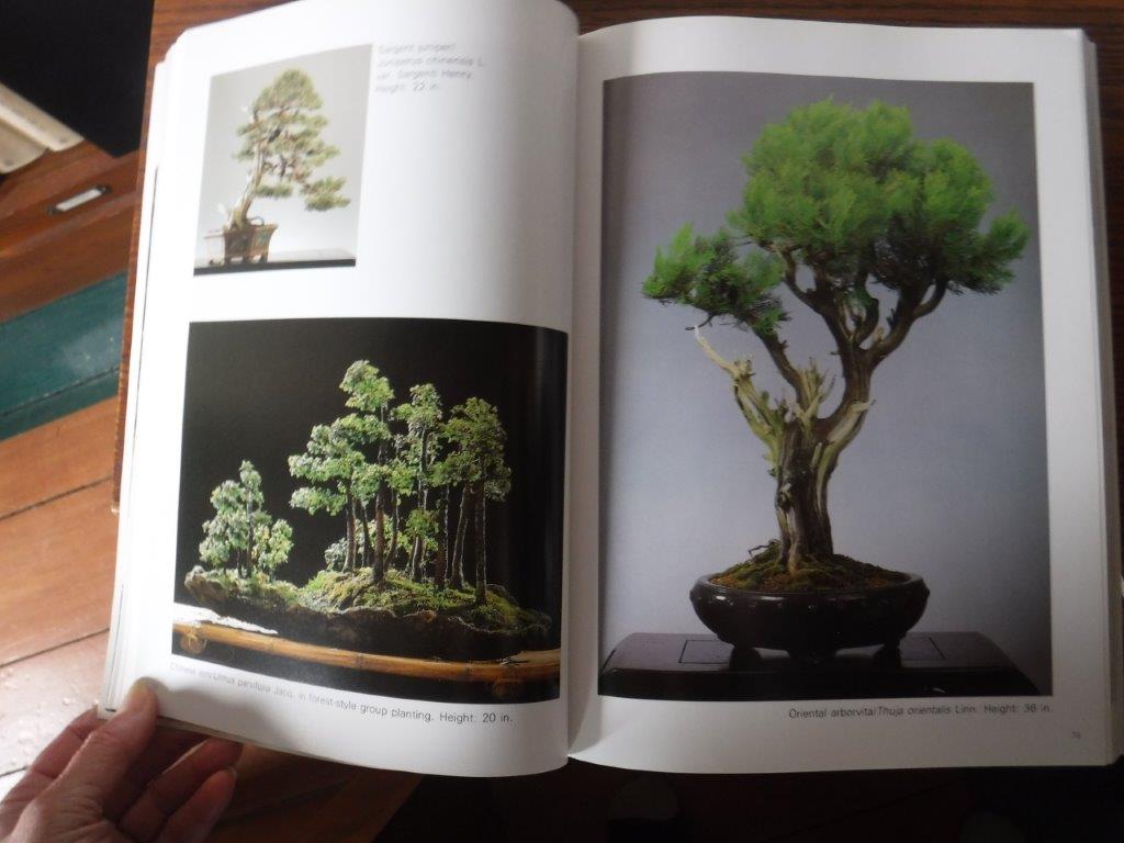 The Living Art Of Bonsai Principles & Techniques of Cultivation