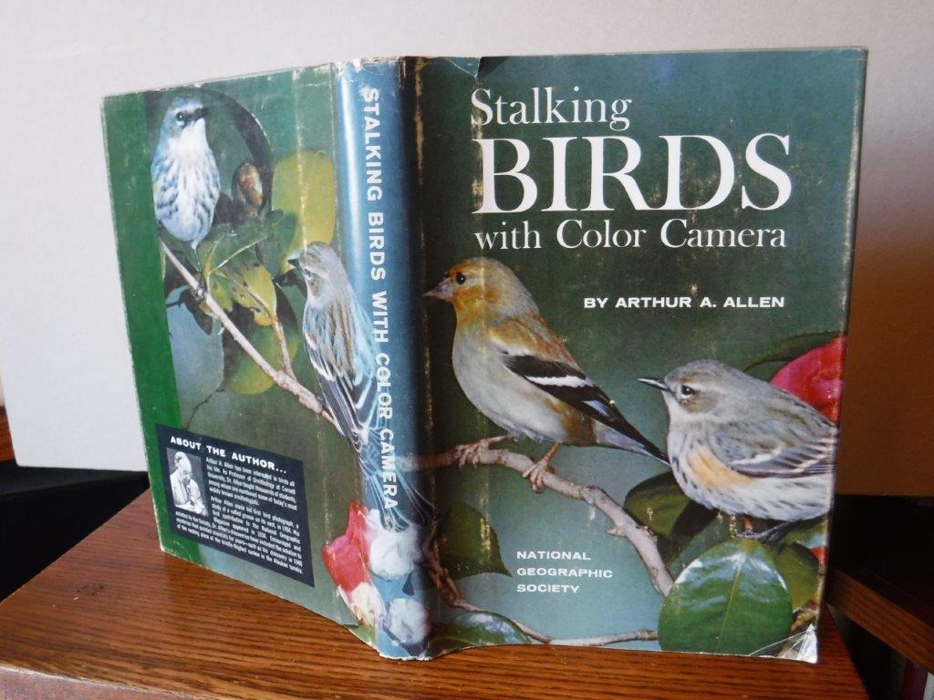 Image for Stalking Birds with Color Camera